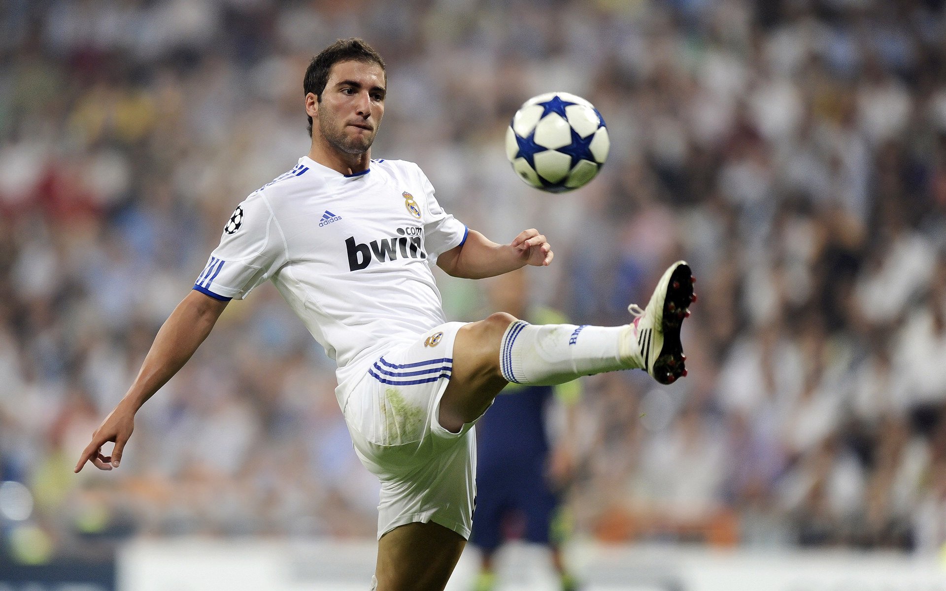 拜仁锋线新星持续高光表现，未来潜力无限，拜仁 新星